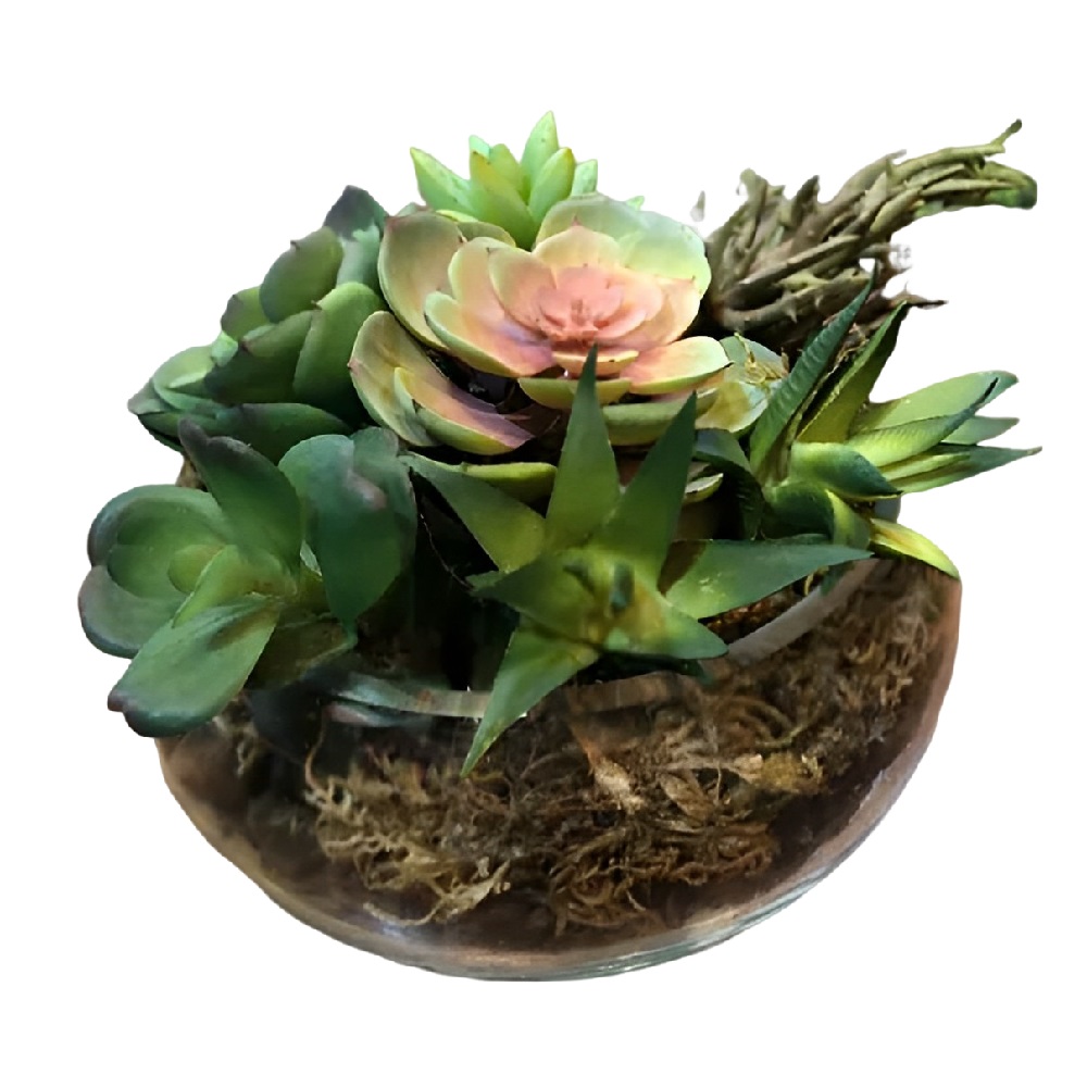 Vaso Terrário de Vidro Transparente - Flores, Plantas e Velas - 11AX19Cx22L 