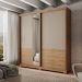 Guarda Roupa Casal 2 Portas 4 Gavetas Madrid Carraro Freijó c/ Avelã