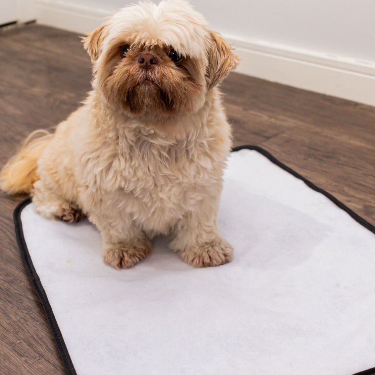 Tapete Higiênico Lavável Reutilizável Pet Tamanho G