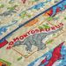 Colcha Solteiro Bouti Kids Dupla Face Estampado 2 Peças - Dino