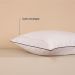 Kit 2 Fronhas Linea 50cm x 70cm Micropercal 200 Fios - Preto