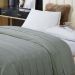 Manta Cobertor Queen Roma Flannel Ultrasoft - Alecrim