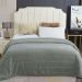 Manta Cobertor Queen Roma Flannel Ultrasoft - Alecrim