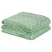 Manta Solteiro Petit Poa Flannel Microfibra 1 Peça - Salvia