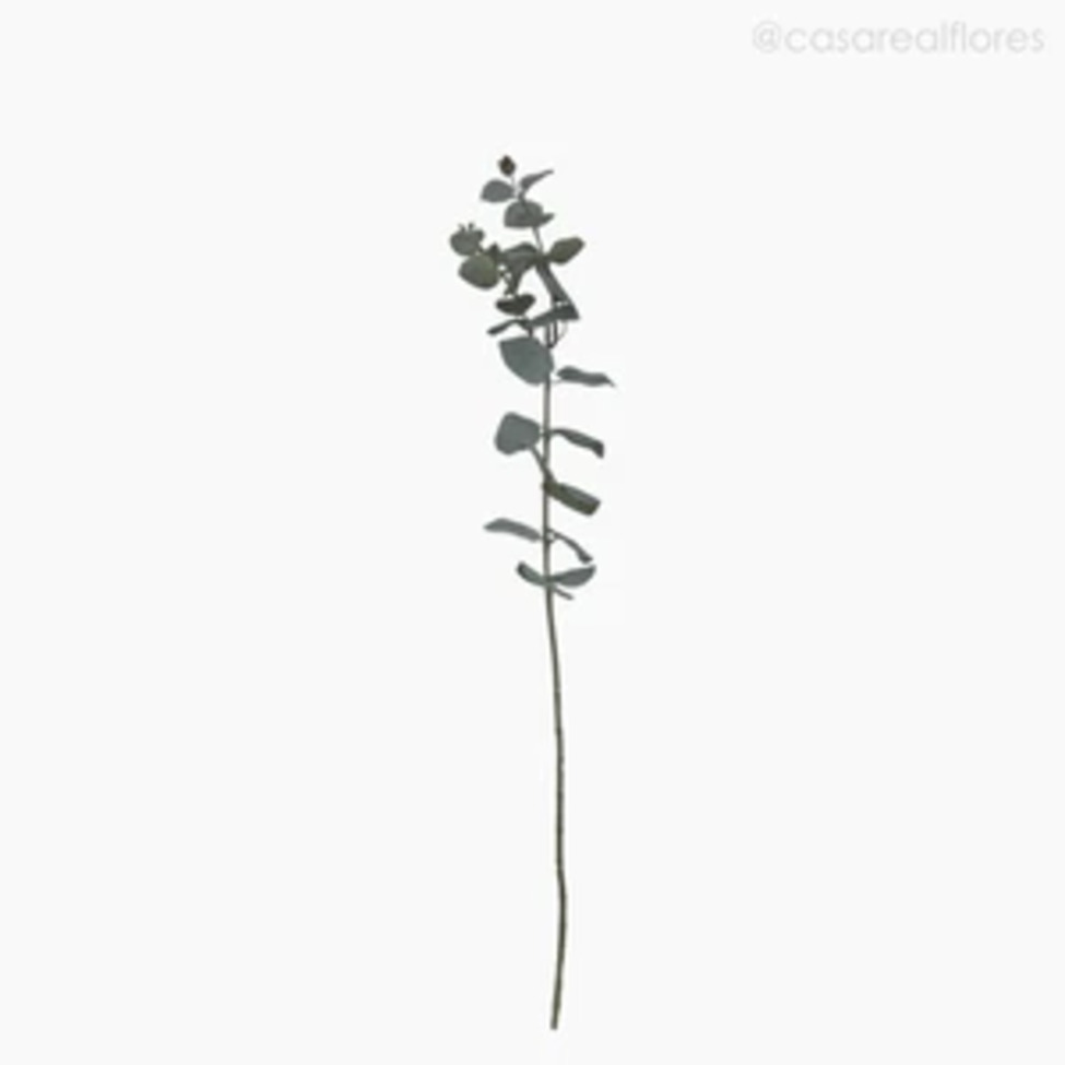 Galho Decorativo Eucalyptus Azul