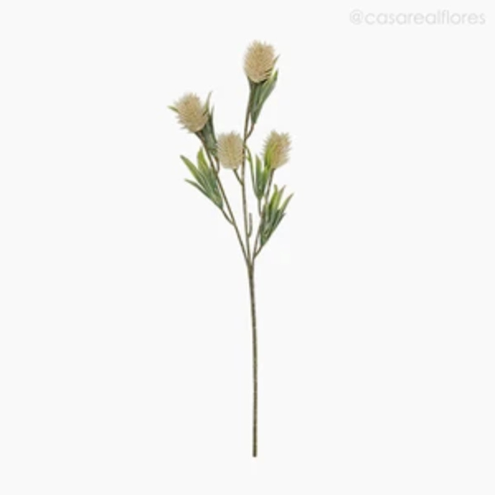Galho Decorativo Teasel Verde