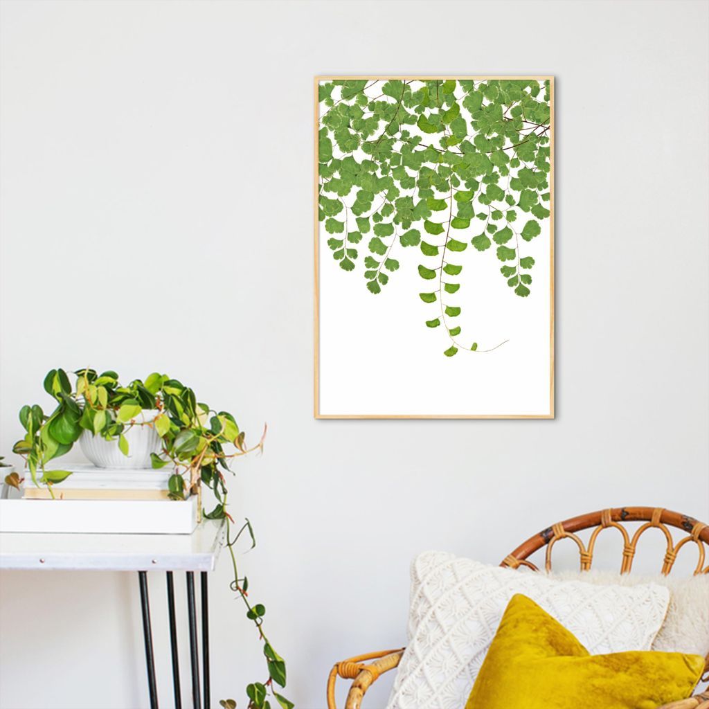 Quadro Adiantum Capillus Veneris 86x60 Filete Marfim