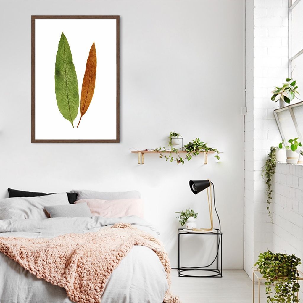 Quadro Botânica Acrostichum Brevipes 100x70 Caixa Marrom
