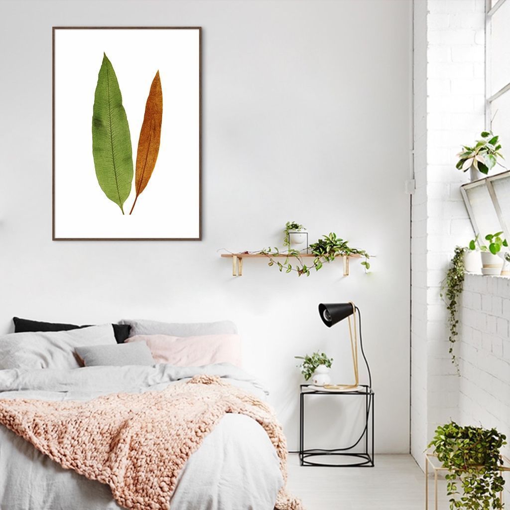 Quadro Botânica Acrostichum Brevipes 43x30 Filete Marrom