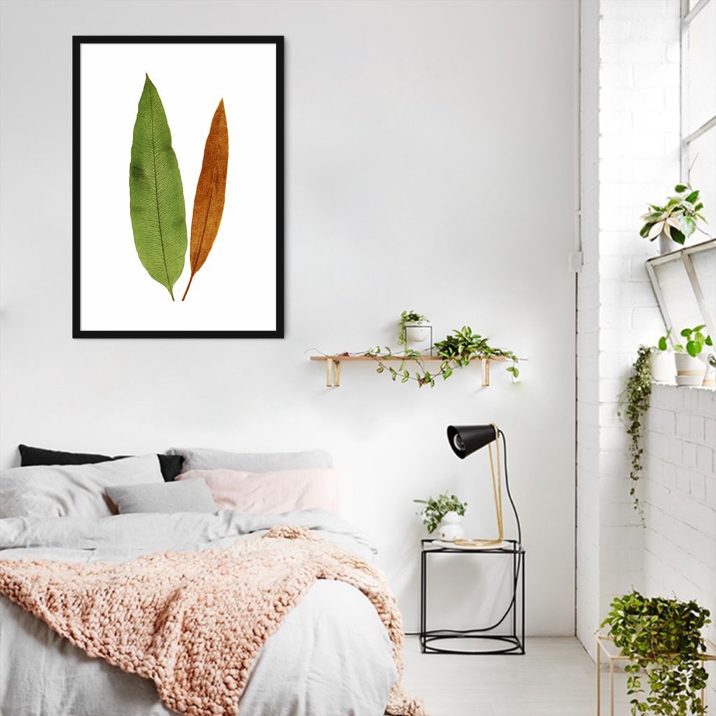 Quadro Botânica Acrostichum Brevipes 86x60 Caixa Preto