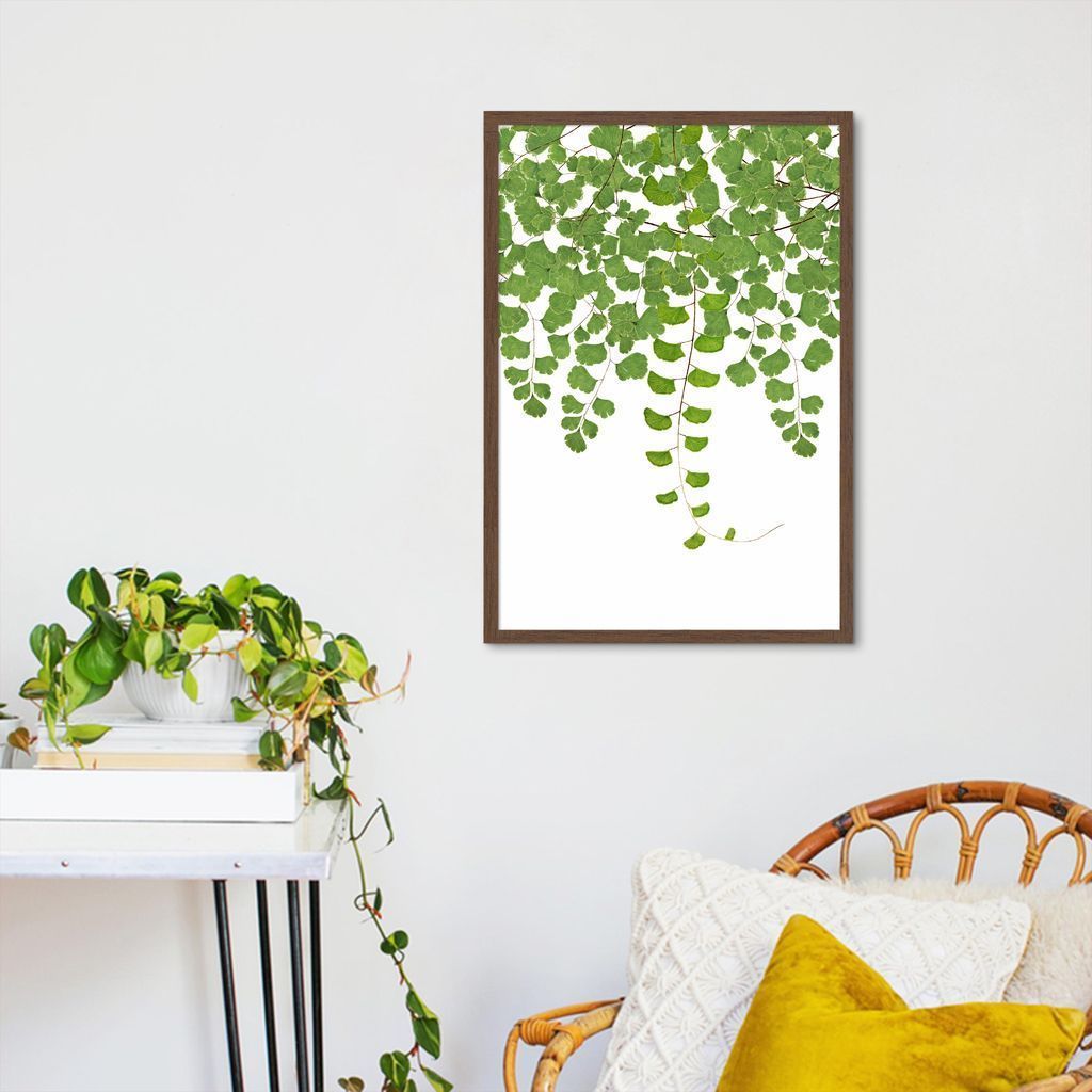 Quadro Botânica Adiantum Capillus Veneris 60x43 Caixa Marrom