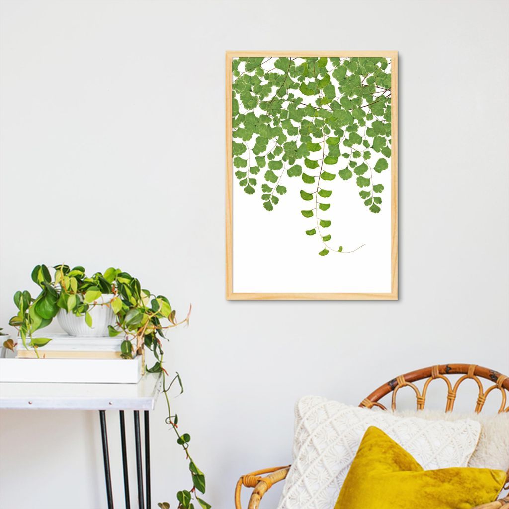 Quadro Botânica Adiantum Capillus Veneris 86x60 Caixa Marfim