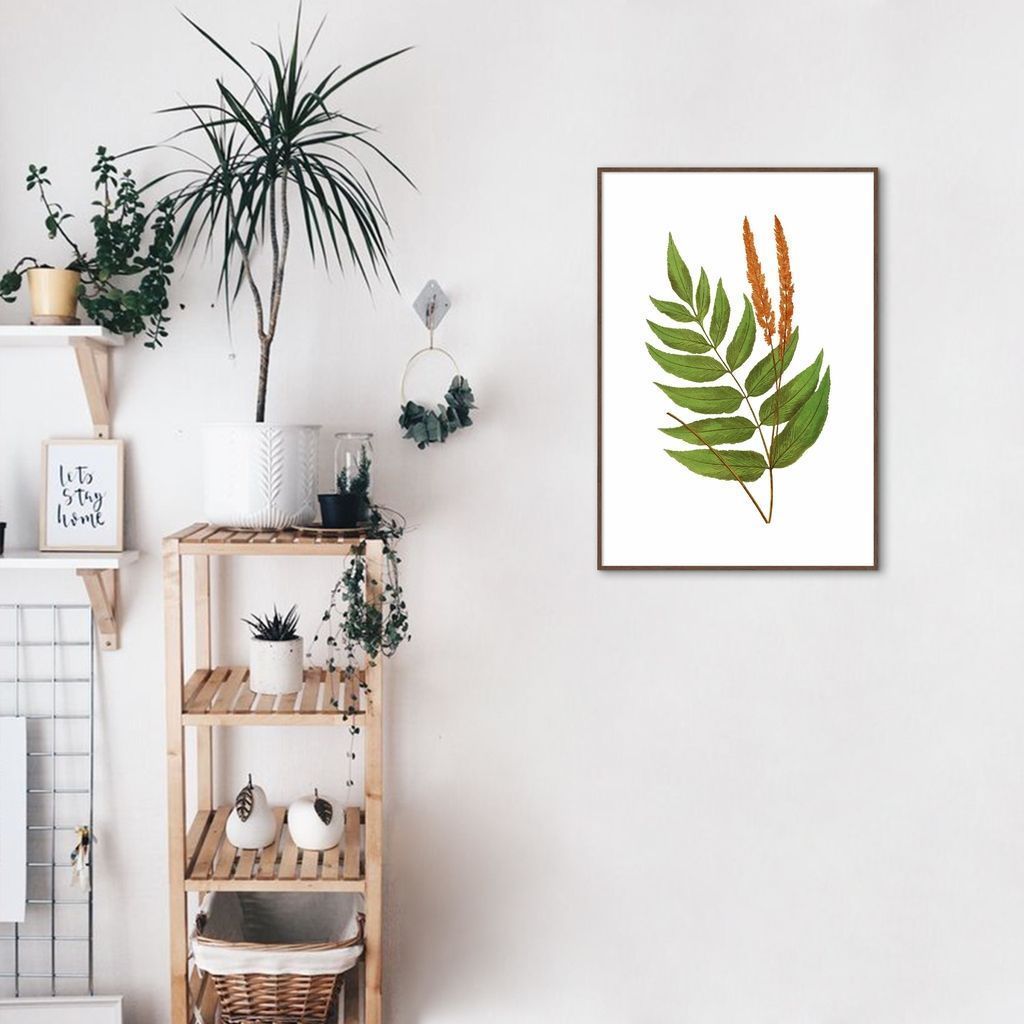 Quadro Botânica Anemidictyon Phyllitidis 86x60 Filete Marrom