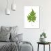Quadro Botânica Aspidium Cicutarium 100x70 Caixa Branco