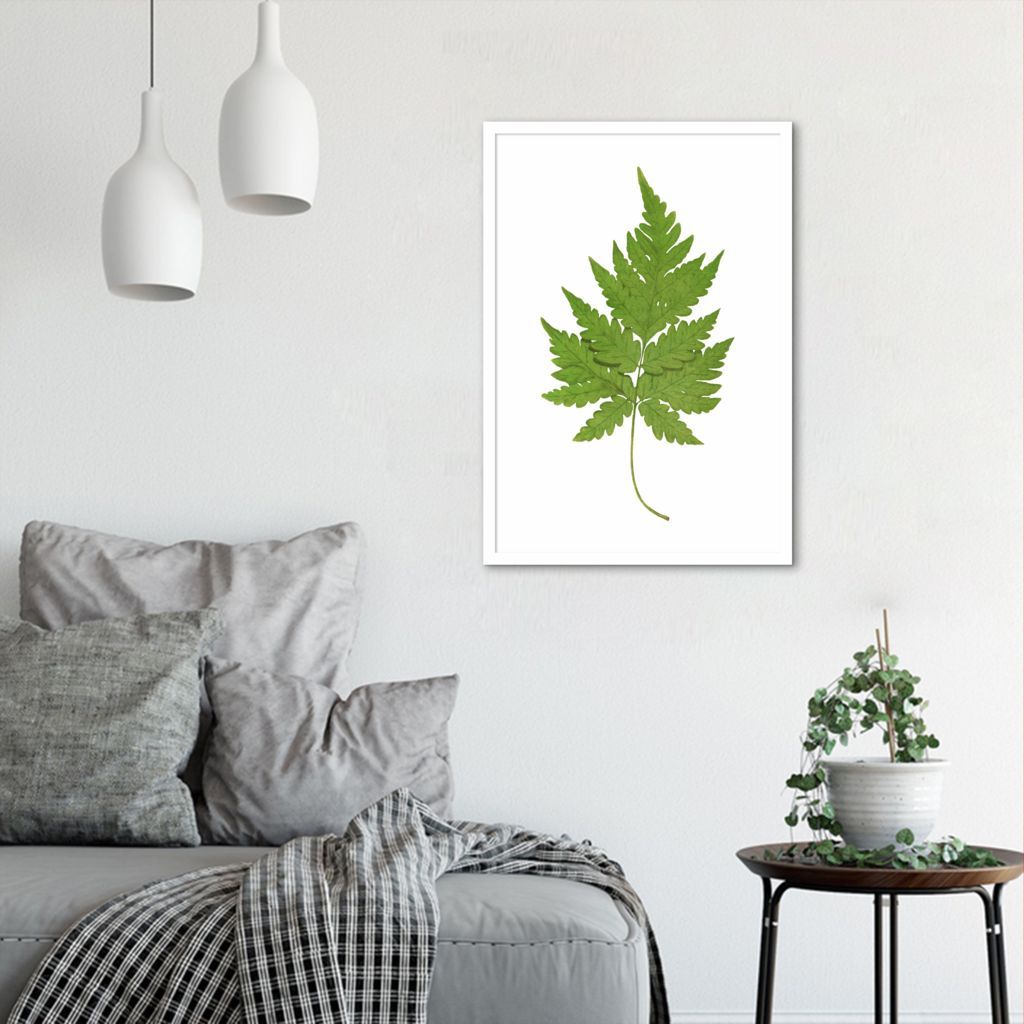 Quadro Botânica Aspidium Cicutarium 100x70 Caixa Branco