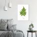 Quadro Botânica Aspidium Cicutarium 100x70 Filete Branco