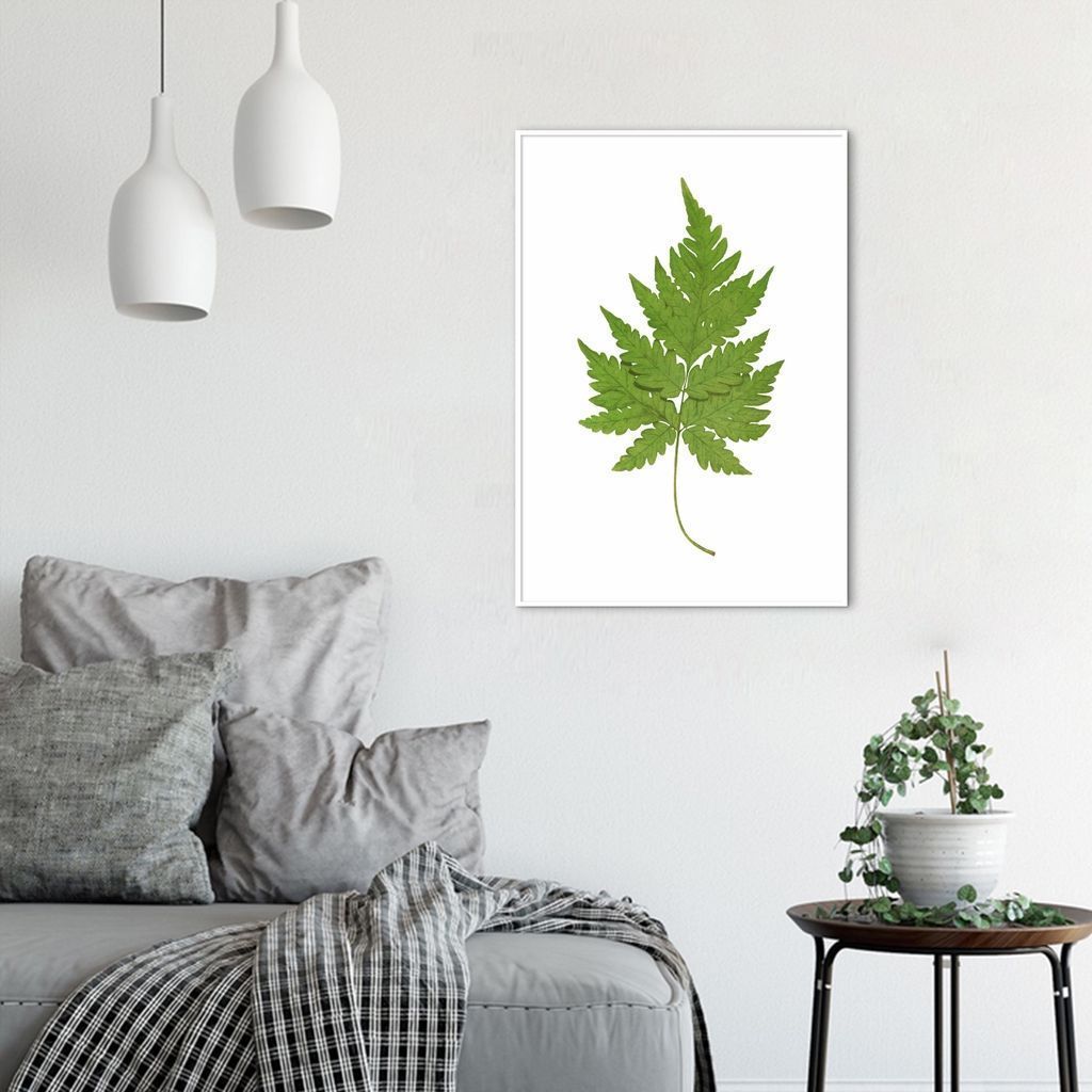 Quadro Botânica Aspidium Cicutarium 100x70 Filete Branco