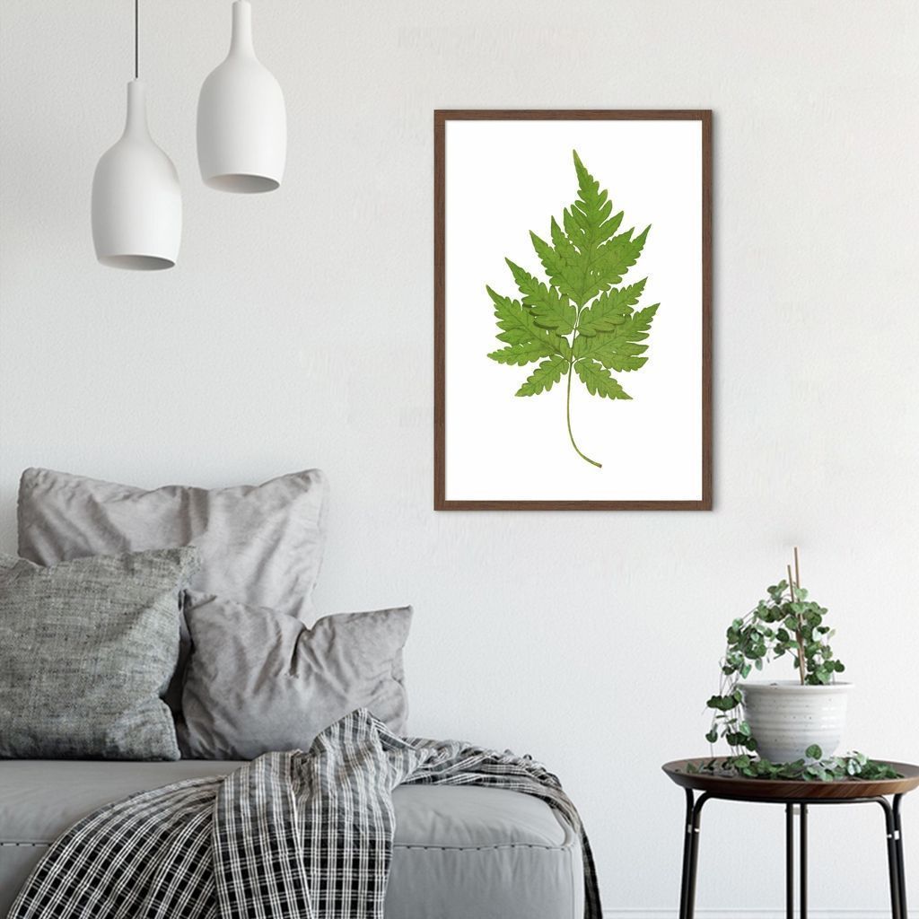 Quadro Botânica Aspidium Cicutarium 43x30 Caixa Marrom