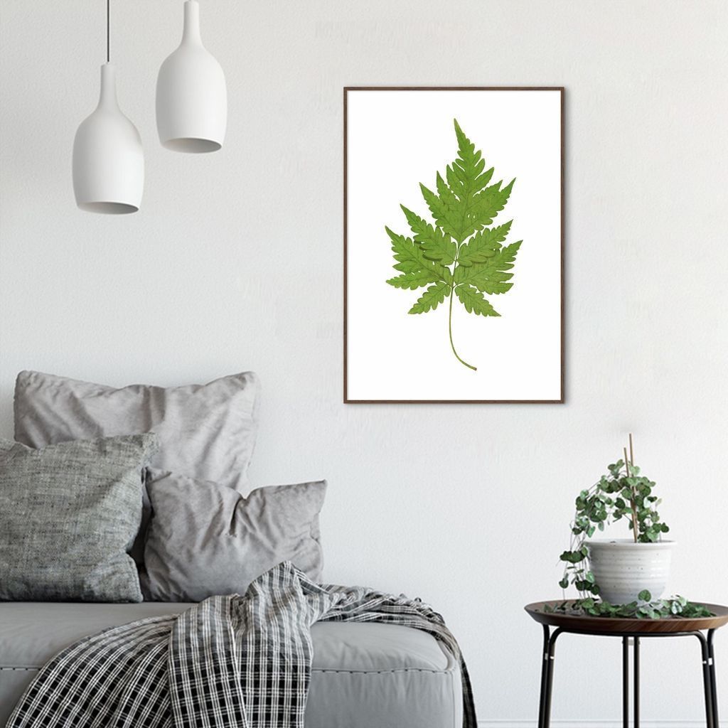 Quadro Botânica Aspidium Cicutarium 43x30 Filete Marrom