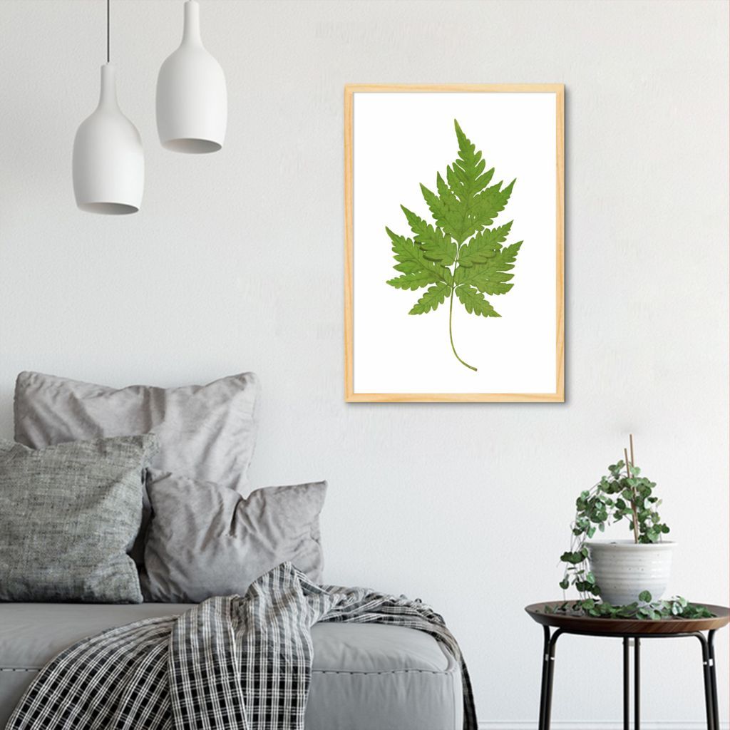 Quadro Botânica Aspidium Cicutarium 86x60 Caixa Marfim