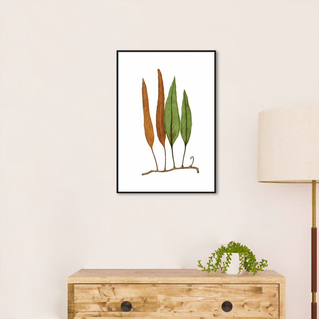 Quadro Botânica Folhas Niphobolus Ingua 100x70 Filete Preto