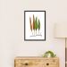 Quadro Botânica Folhas Niphobolus Ingua 60x43 Caixa Preto