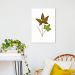 Quadro Botânica Hemionitis Palmata 100x70 Filete Branco