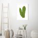Quadro Botânica Polypodium Musaefolium 100x70 Caixa Branco