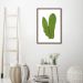 Quadro Botânica Polypodium Musaefolium 43x30 Caixa Marrom