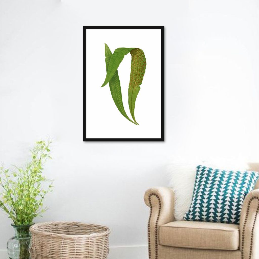 Quadro Botânica Polypodium Nitidum 100x70 Caixa Preto