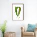 Quadro Botânica Polypodium Nitidum 43x30 Caixa Marrom