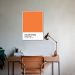 Quadro Color Card Celosia Orange 100x70 Filete Branco