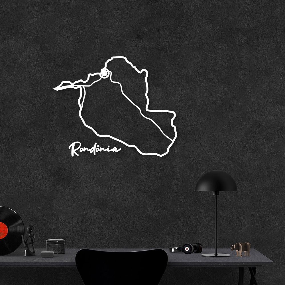 Quadro Escultura Mapa Estado de Rondonia 120x97 Branco