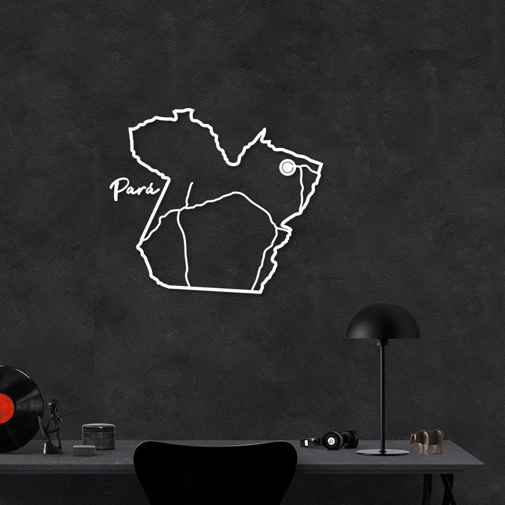 Quadro Escultura Mapa Estado do Pará 90x78 Branco