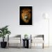 Quadro Leão de Juda 43x30 Caixa Branco
