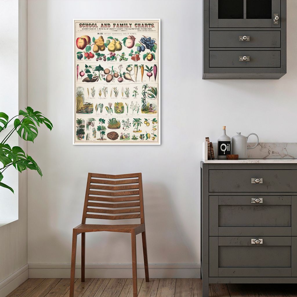 Quadro Vintage Botânica Alimentos 100x70 Filete Branco