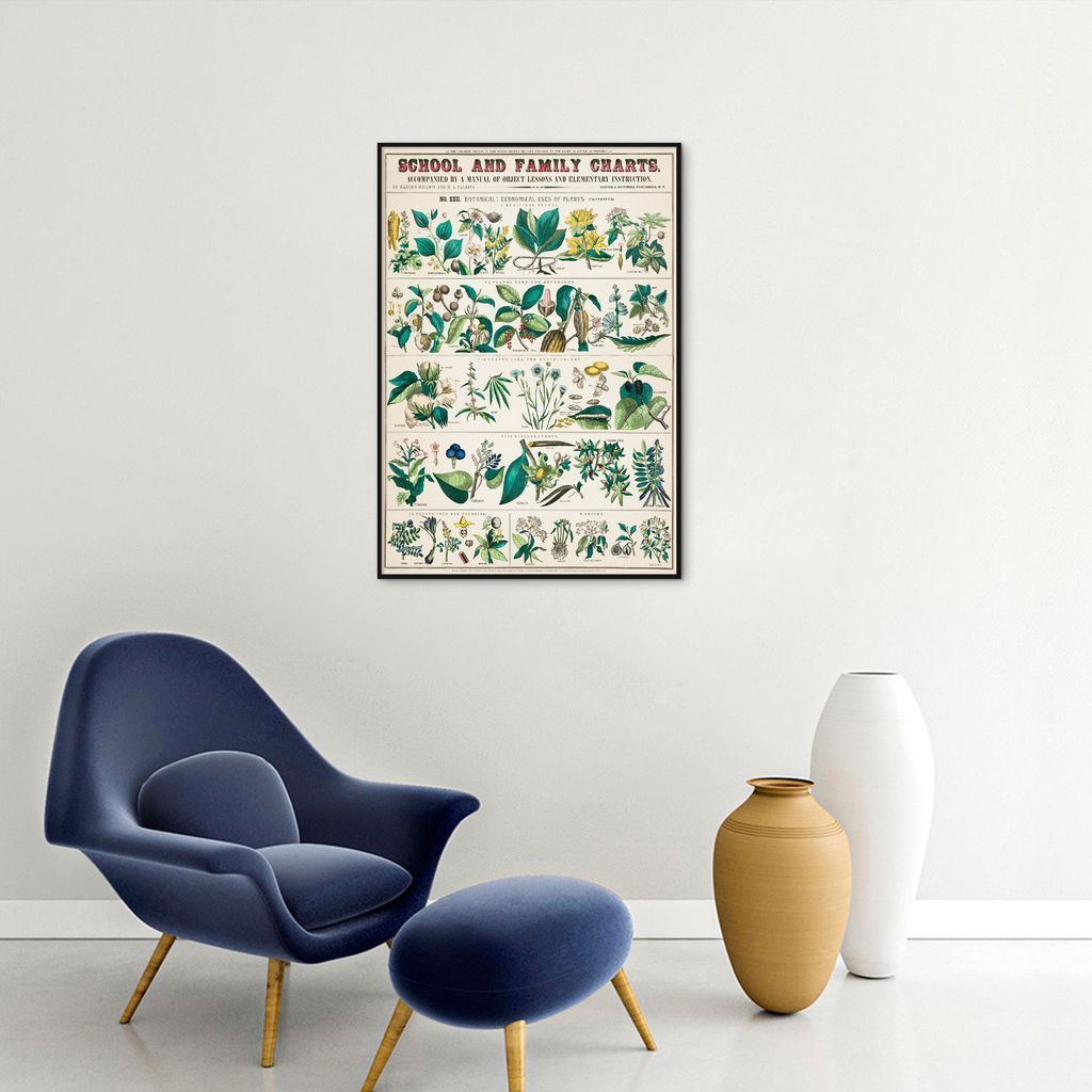 Quadro Vintage Botânica Flores e Plantas 100x70 Filete Preto