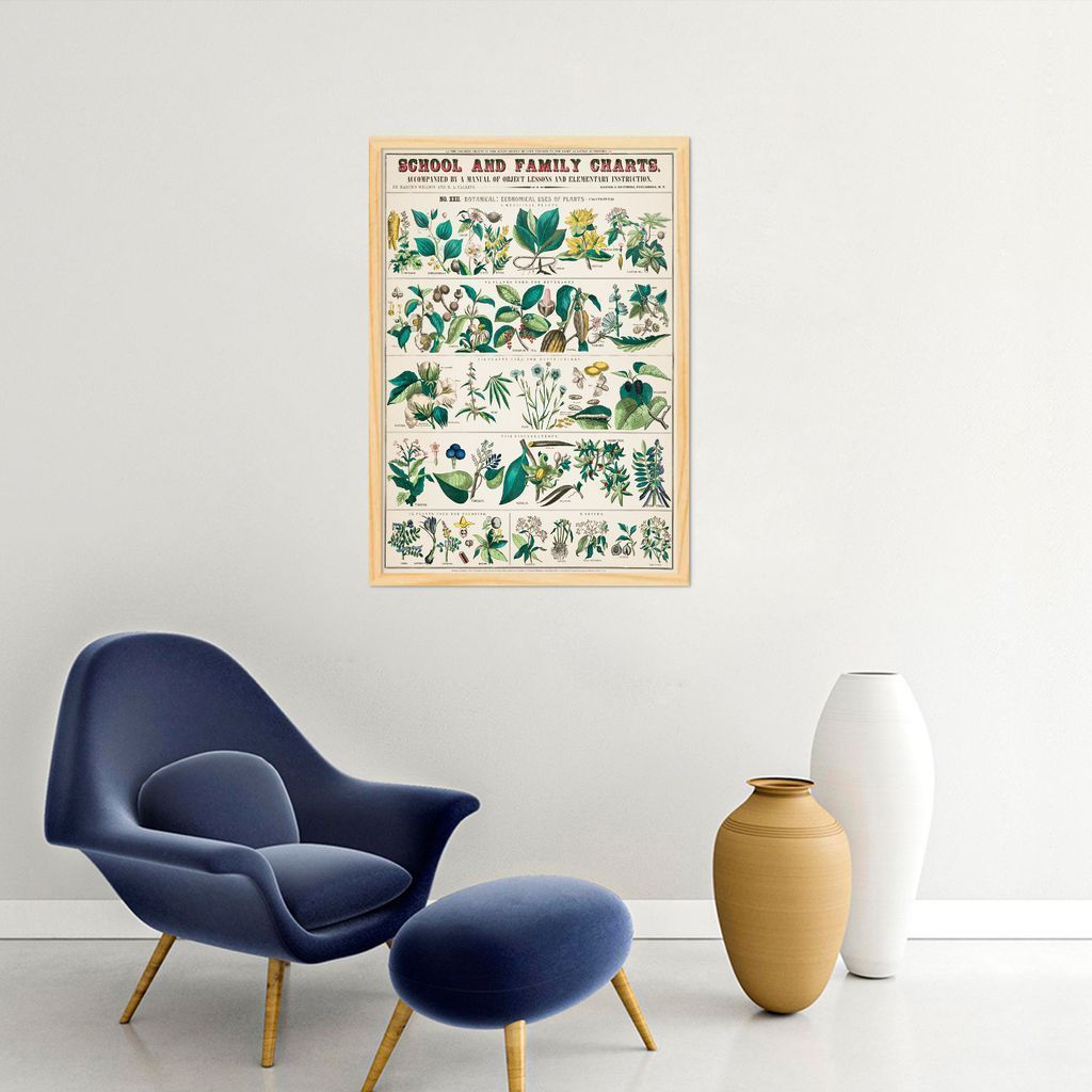 Quadro Vintage Botânica Flores e Plantas 60x43 Caixa Marfim