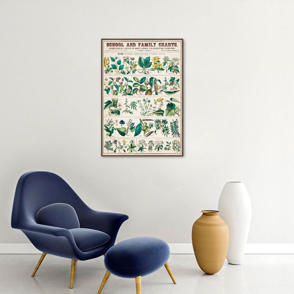Quadro Vintage Botânica Flores e Plantas 60x43 Filete Marrom