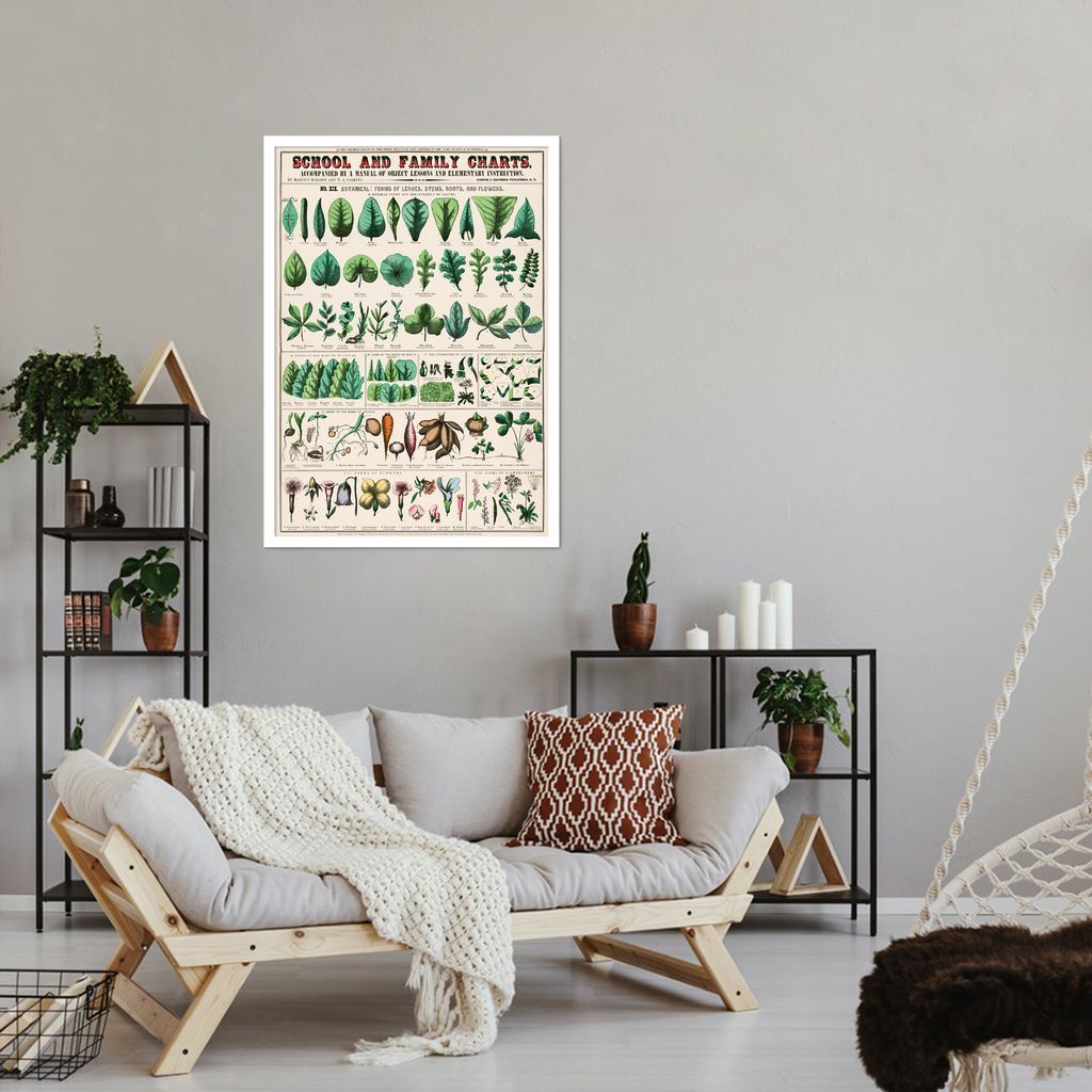 Quadro Vintage Botânica Folhas e Plantas 43x30 Caixa Branco