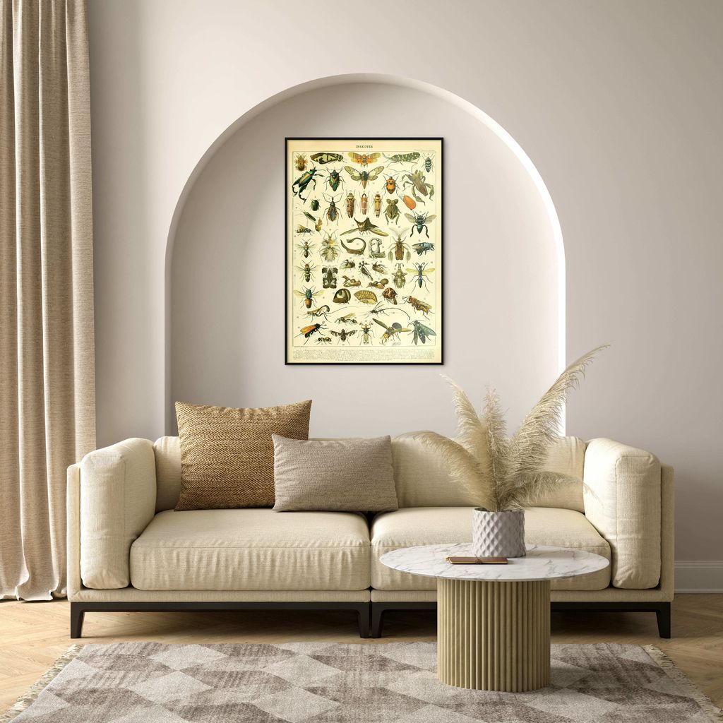 Quadro Vintage Insetos 60x43 Filete Marrom