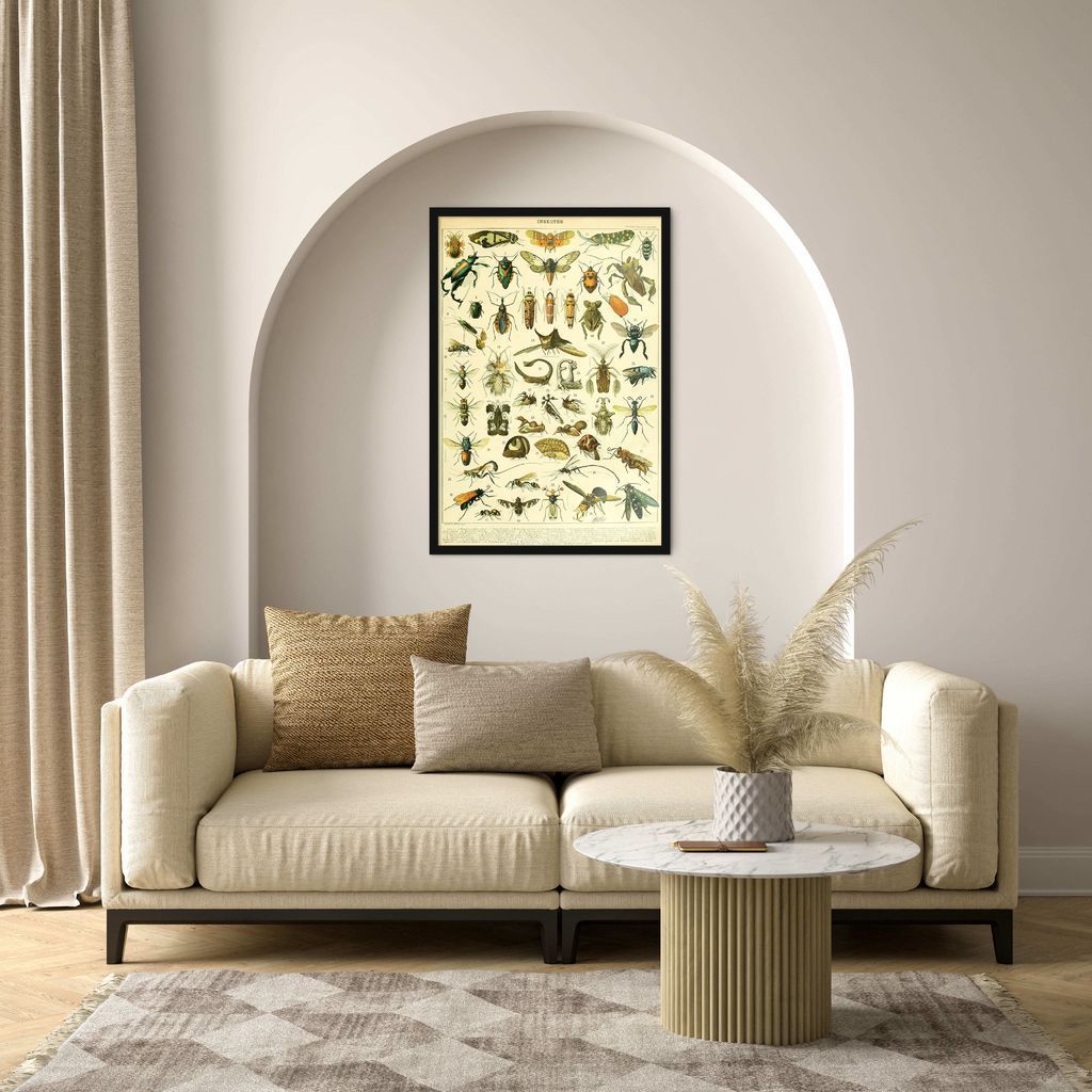 Quadro Vintage Insetos 86x60 Caixa Preto