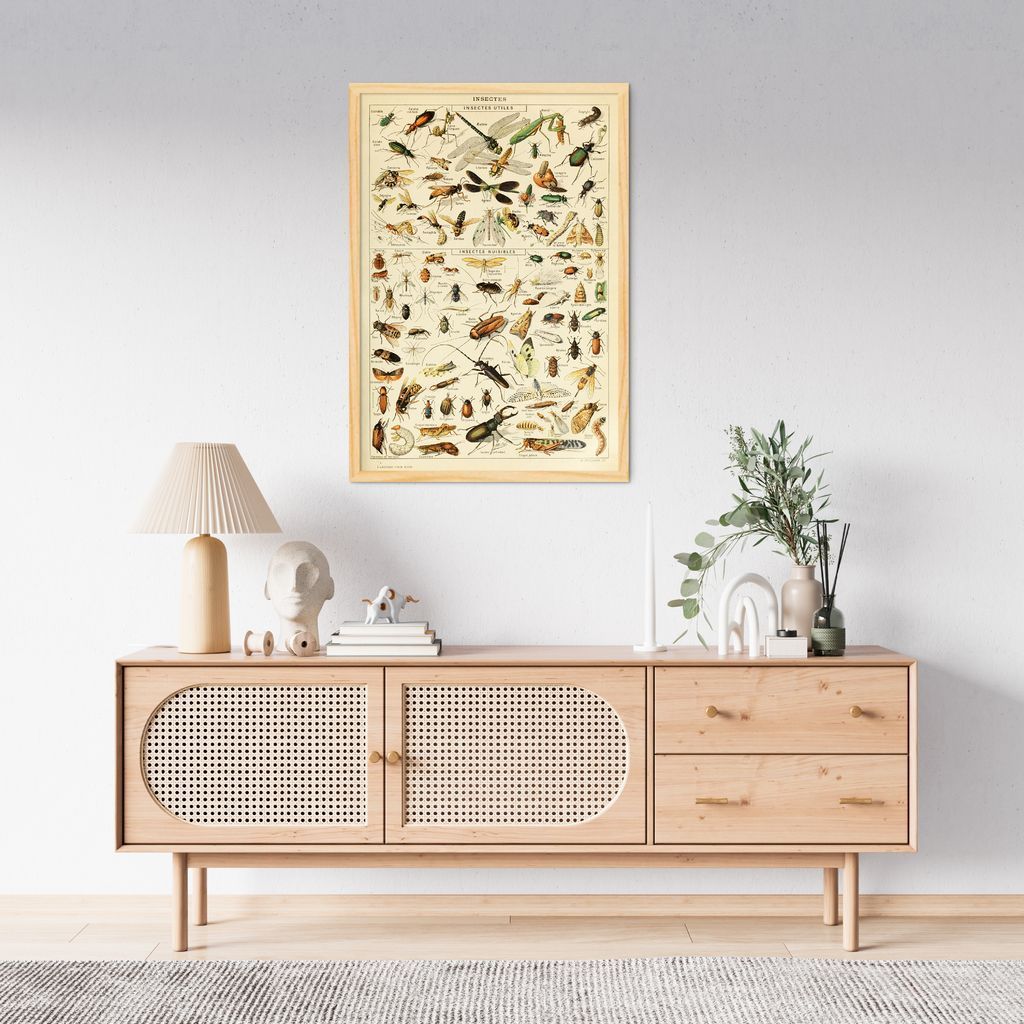 Quadro Vintage Insetos II 100x70 Caixa Marfim