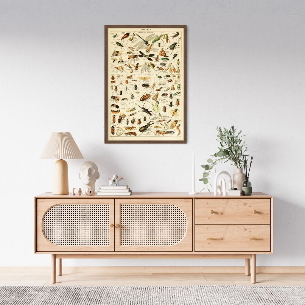 Quadro Vintage Insetos II 100x70 Caixa Marrom