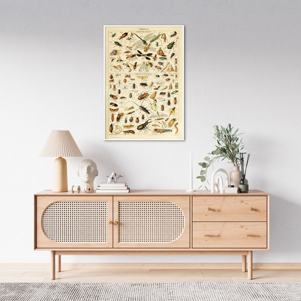 Quadro Vintage Insetos II 100x70 Filete Branco