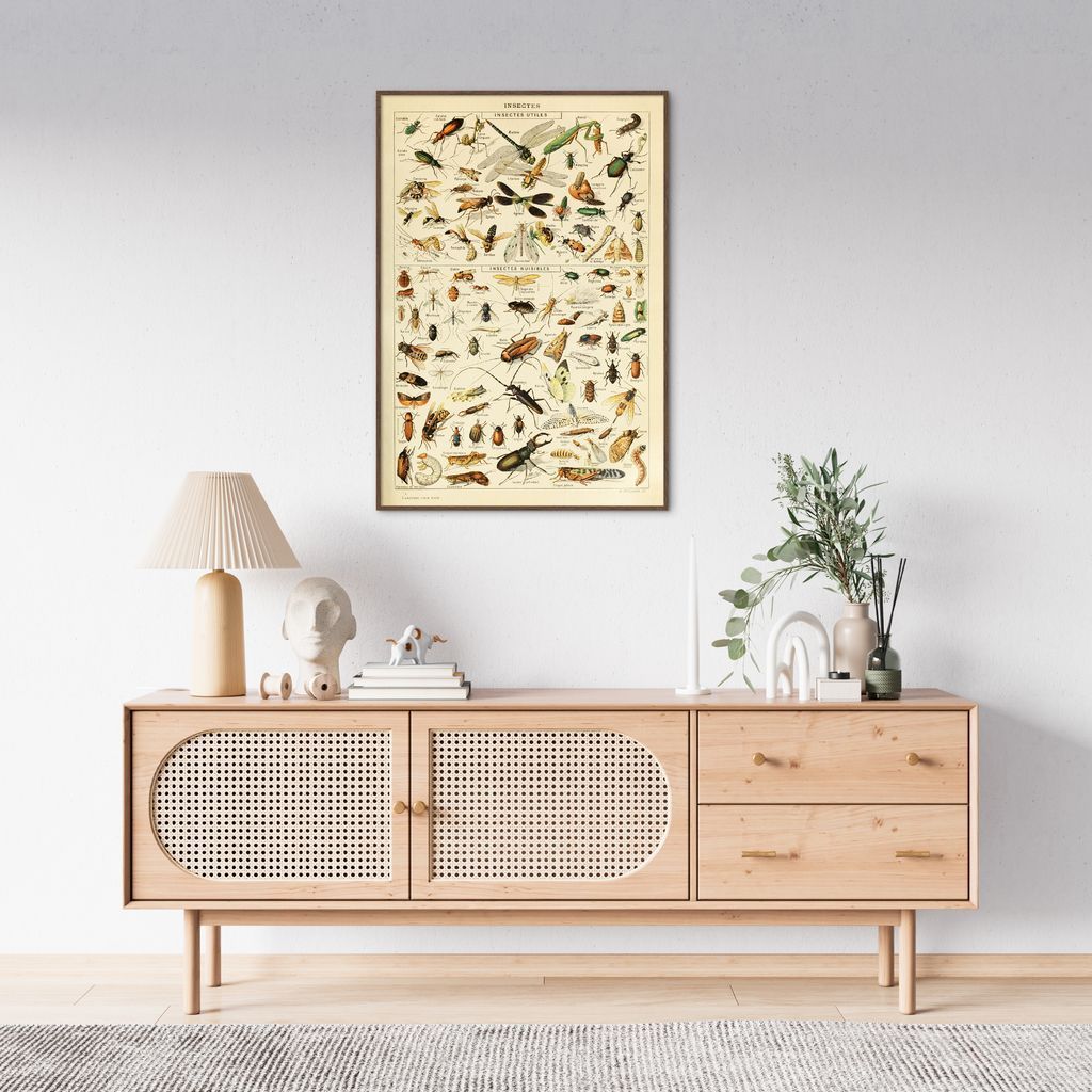Quadro Vintage Insetos II 100x70 Filete Marrom