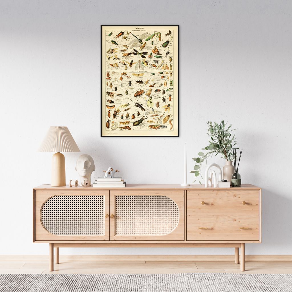Quadro Vintage Insetos II 100x70 Filete Preto