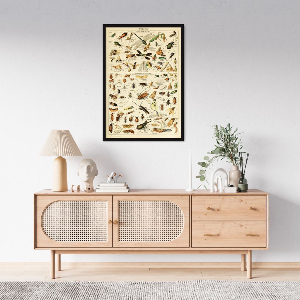 Quadro Vintage Insetos II 43x30 Caixa Preto