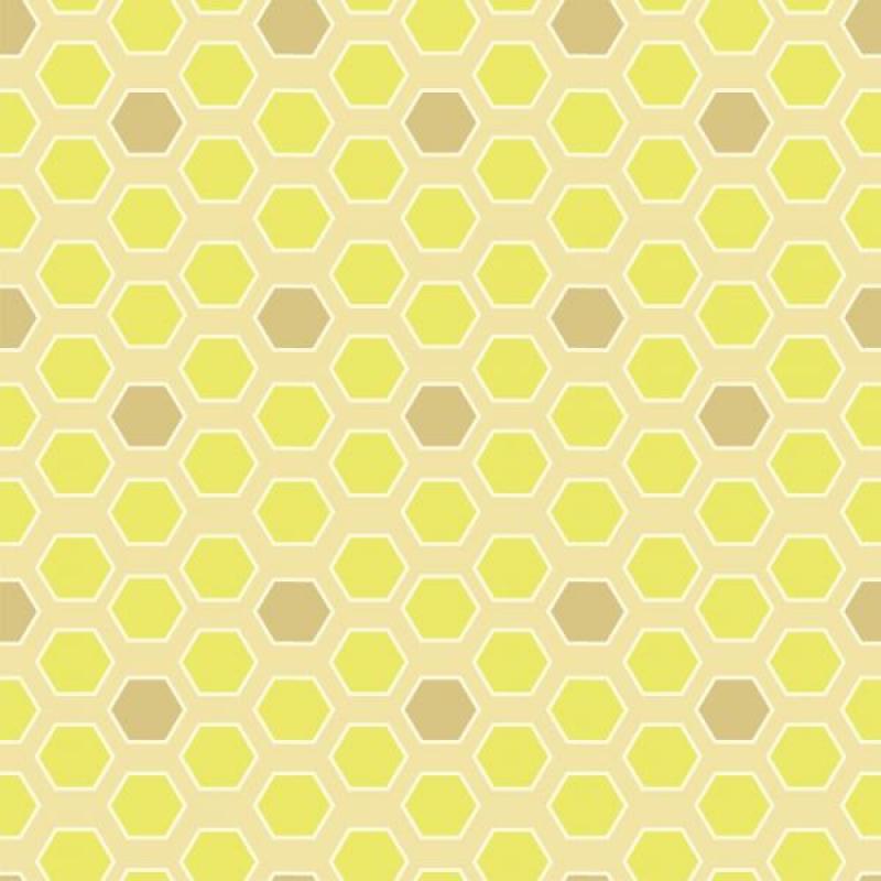 Papel de Parede Infantil Colméia