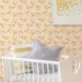 Papel de Parede Kids Guaxinim
